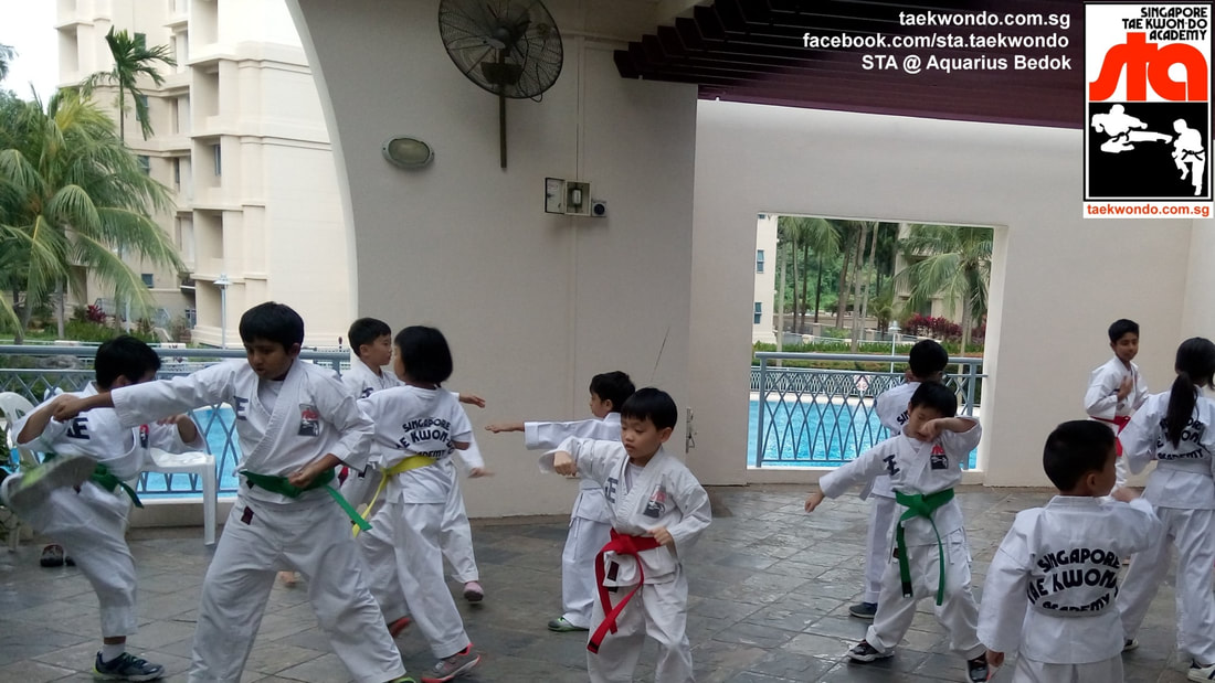 Training Together for their upcoming Grading STA Aquarius Taekwon-do