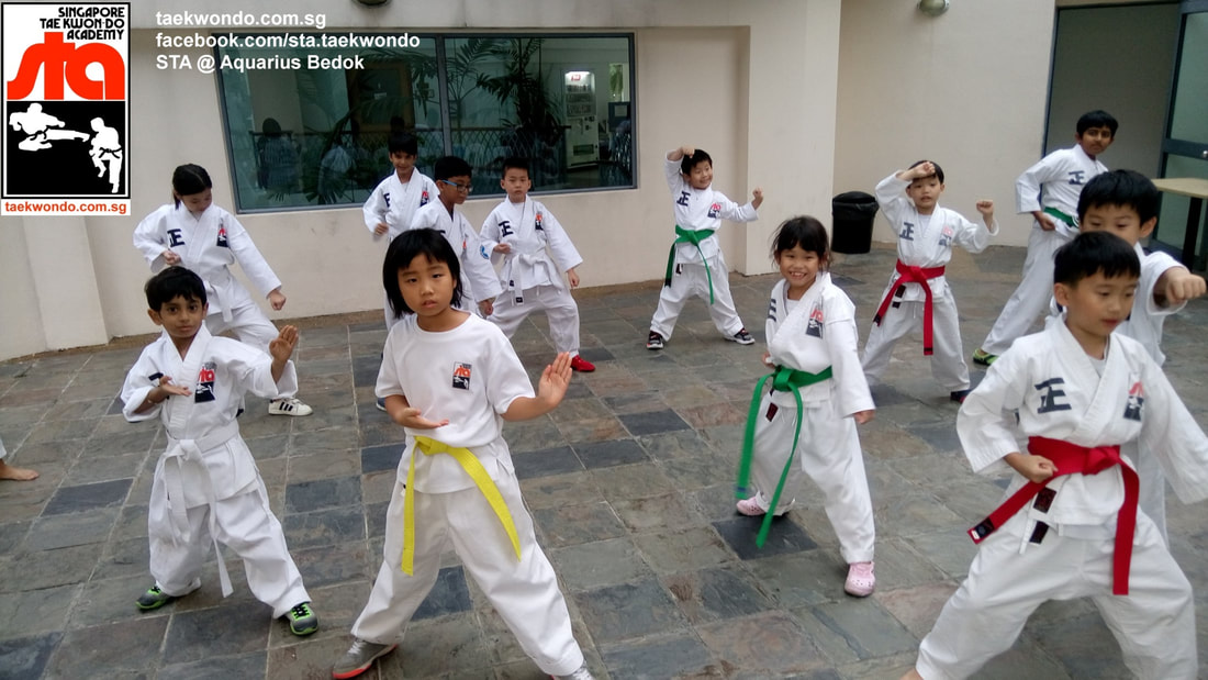 STA Aquarius Taekwon-do Class Training
